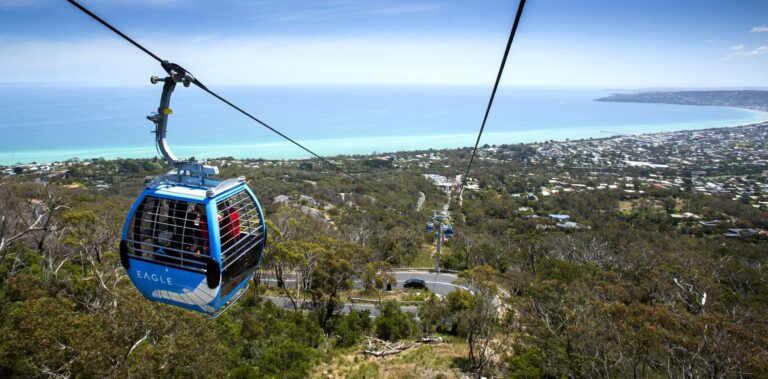 Arthurs-seat-eagle
