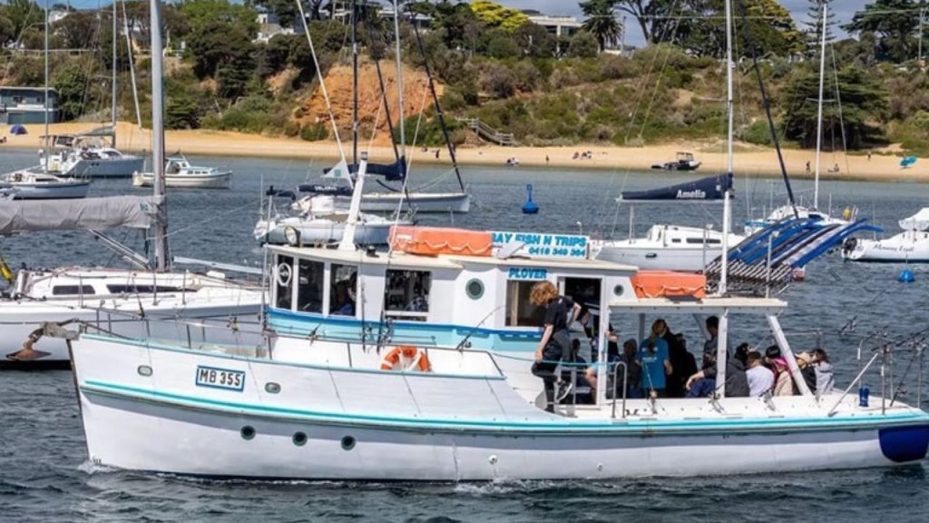 Bay Fish N Trips