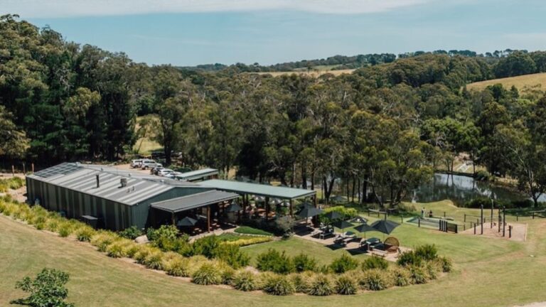 Green Olive at Red Hill 