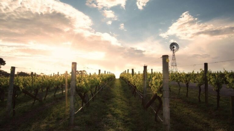 Ten Minutes By Tractor Winery & Restaurant