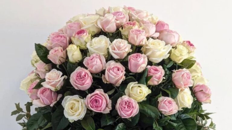 The Bloom Room of Mornington