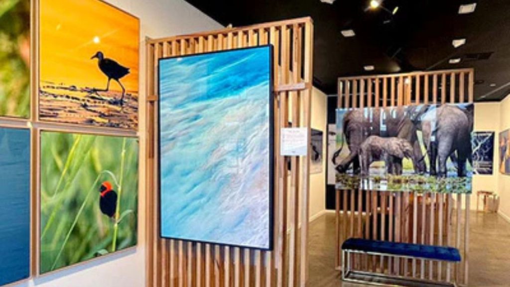 Tom Putt Gallery