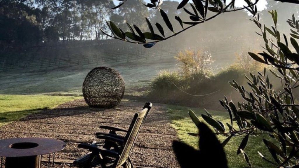 Green Olive at Red Hill