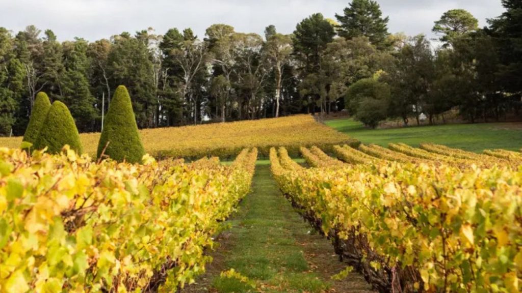 Lindenderry Estate Winery