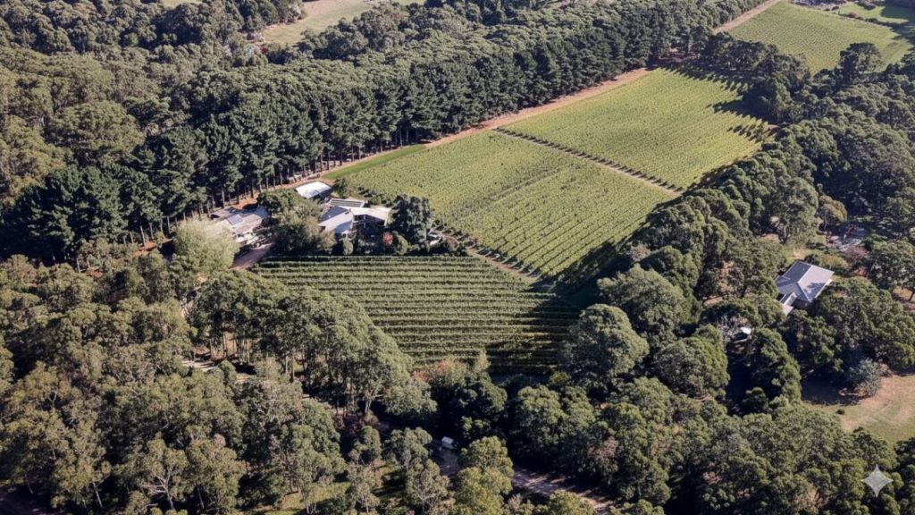 Main Ridge Estate