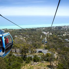 Arthurs-seat-eagle