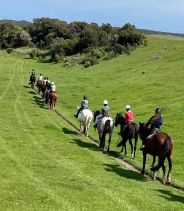 horse-riding-mornington-peninsula